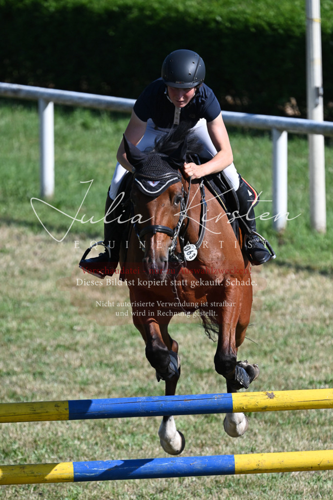 DSC_2191 | Pferde- und Turnierfotografie in Westsachsen. Pferdeportraits, Auftragszeichnungen und intuitive Kunst.