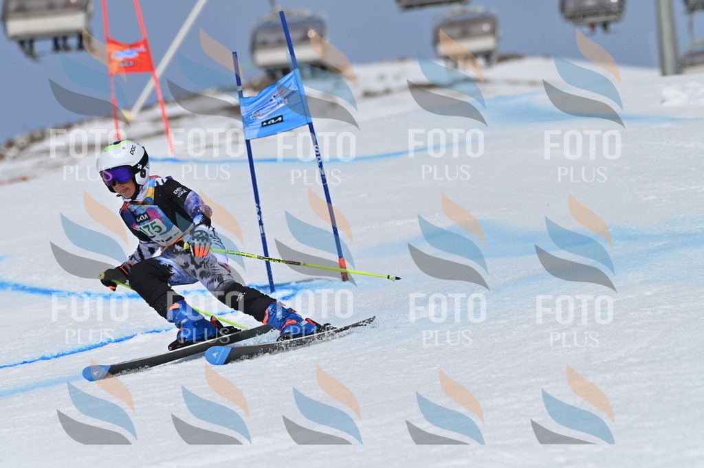 BGV_3457 | holidayphoto