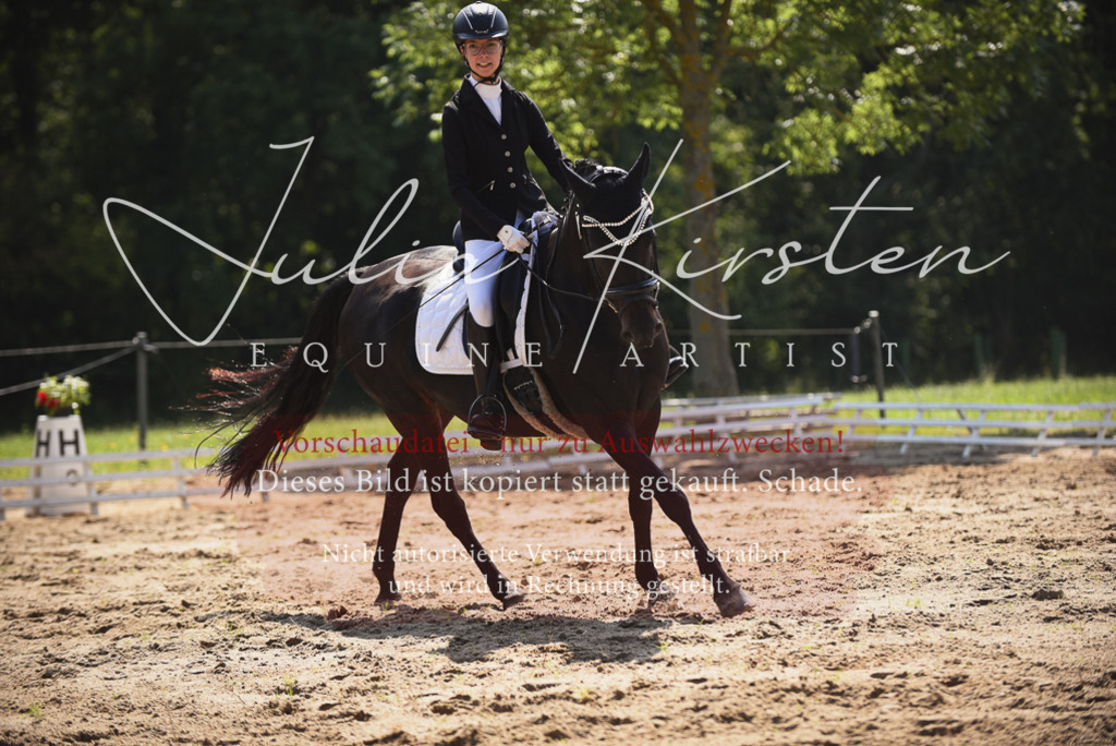 DSC_0649 | Pferde- und Turnierfotografie in Westsachsen. Pferdeportraits, Auftragszeichnungen und intuitive Kunst.