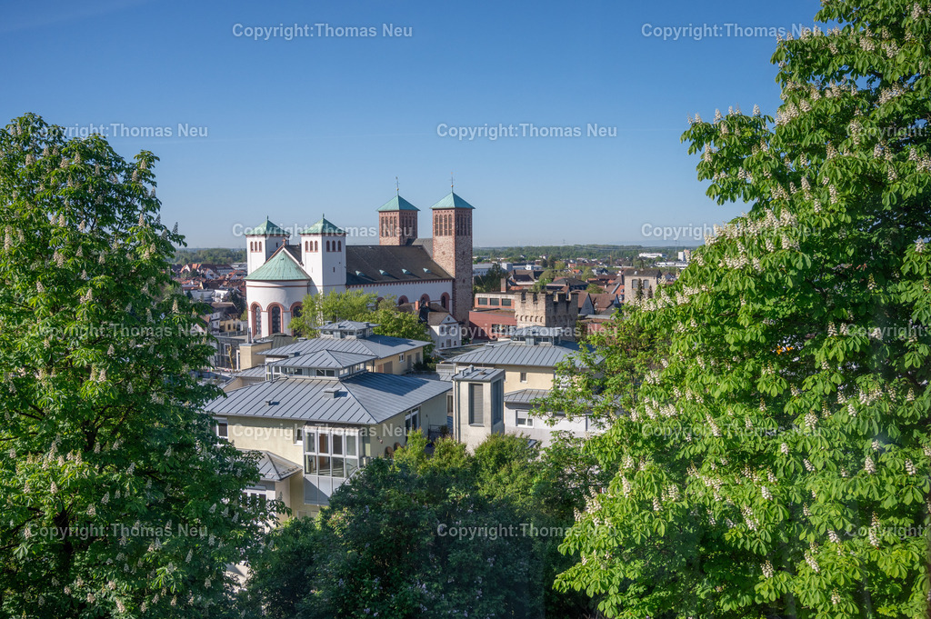 Pfarrkirche-Sankt-Georg-Bensheim-Fotografie-Thomas_Neu_1 | Blick vom Garten des Bensheimer Hospiz auf die Pfarrkirche Sankt Georg in bensheim, ,Bild: THomas Neu