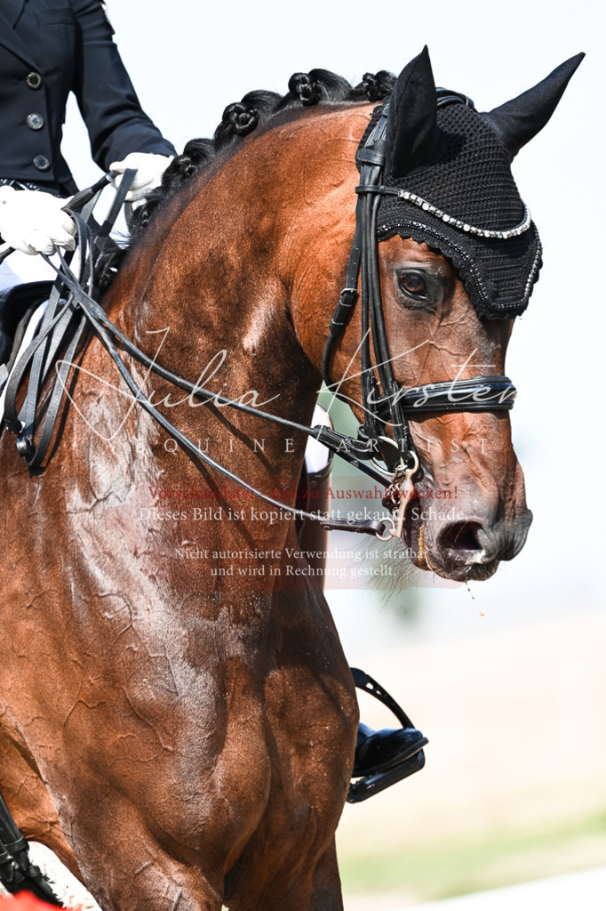 DSC_3074 | Pferde- und Turnierfotografie in Westsachsen. Pferdeportraits, Auftragszeichnungen und intuitive Kunst.