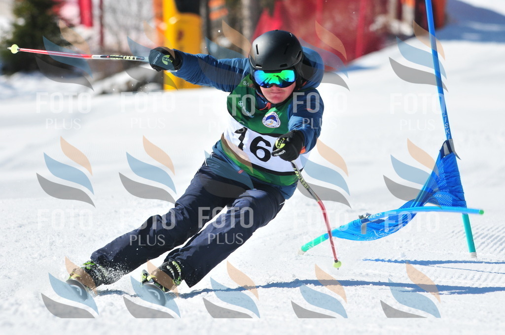 C3408 | holidayphoto