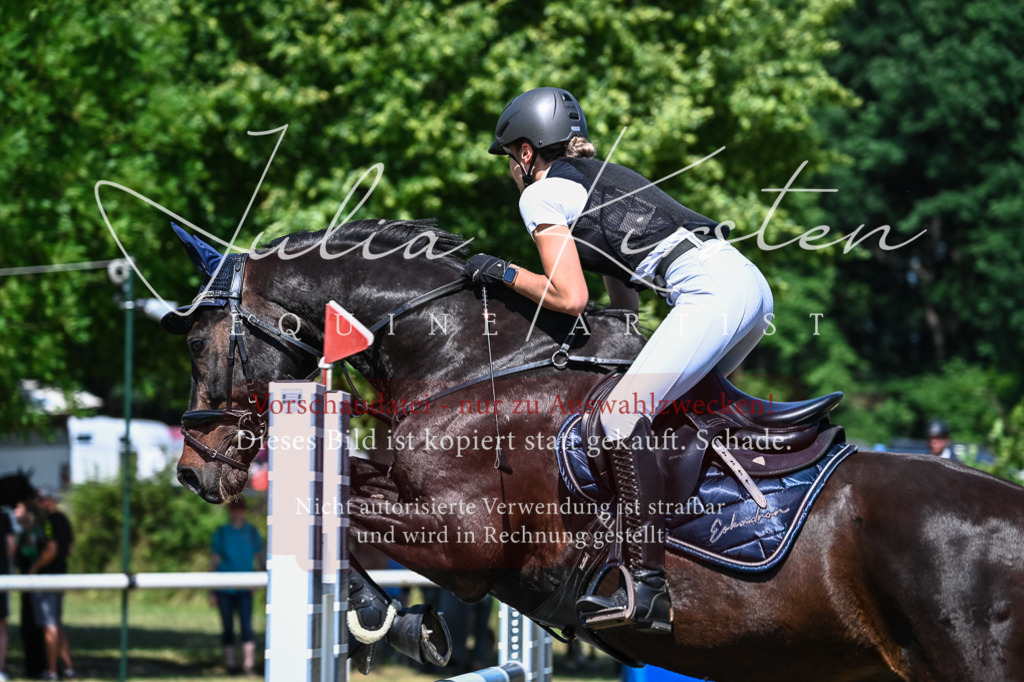 DSC_1126 | Pferde- und Turnierfotografie in Westsachsen. Pferdeportraits, Auftragszeichnungen und intuitive Kunst.