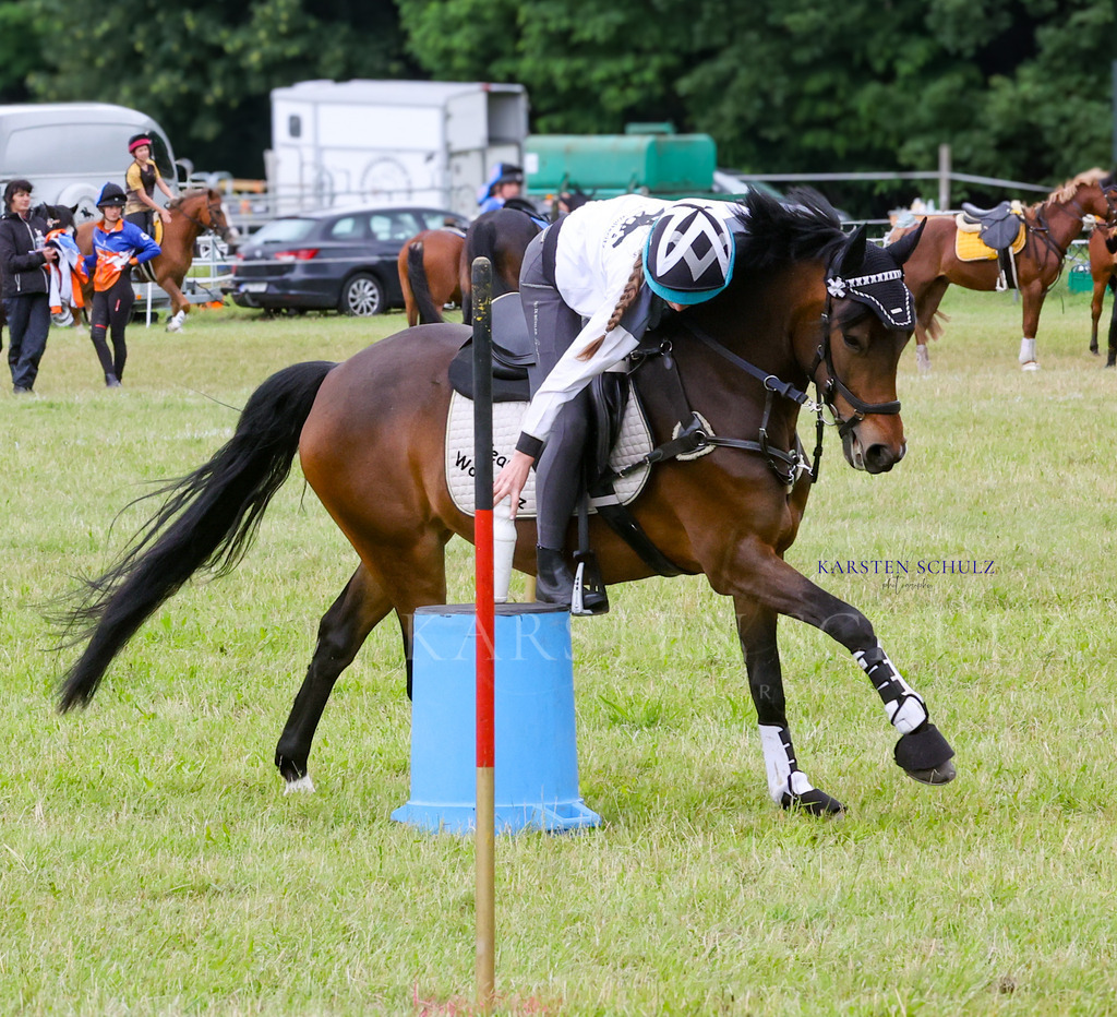 1B3A1459 | Reitsport Reiten