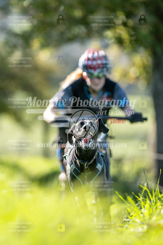 MompixPhotography_20TSB_E3_DS1-14 | PayLife