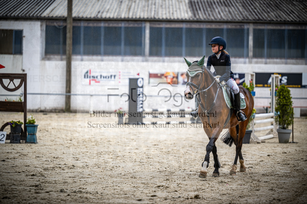 Turnier Laggenbeck 2026-15-0167 | Entdecke hochwertige Reitturnierfotos von Foto Oger. Professionell, emotional und authentisch – jetzt Lieblingsmomente im Shop bestellen.Deutschlandweite Turnierfotografie. - Realisiert mit Pictrs.com