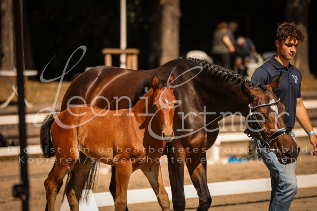 09.DoWBD00029 | Leoni Ertmer Photography - Realisiert mit Pictrs.com