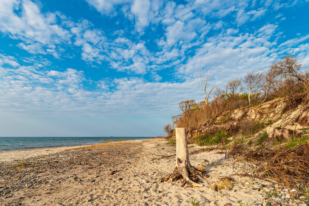 Strand an der Küste der Ostsee bei Graal Müritz | Strand an der Küste der Ostsee bei Graal Müritz.