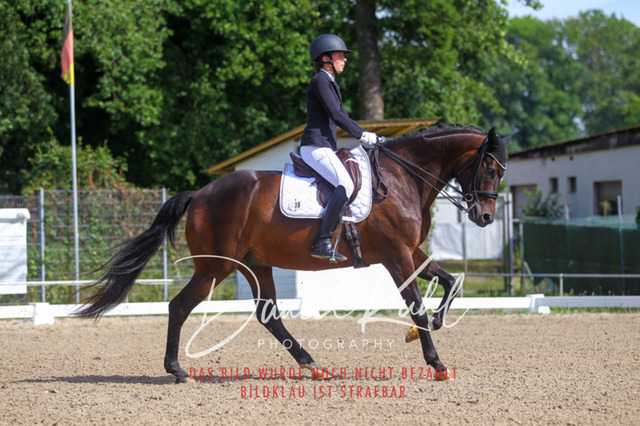 DKP41121 | Turniersportfotografie; Pferdefotografie; Dressurfotografie