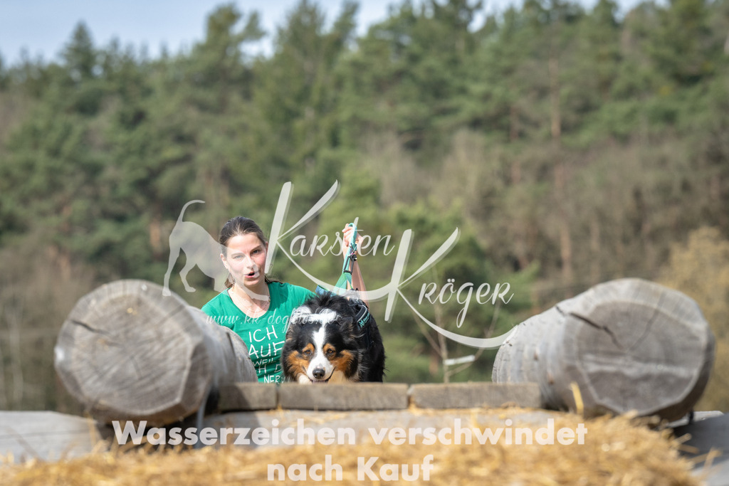 1051_ZZ94140 | kk-dogfotos