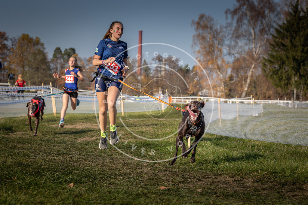 CaniXpix_0L8A9091 | Hundefotografie, Tierfotograf, Pfotenfotografie, Fotoshooting Hund, Hunde Portrait, Hundesport, Hundeportraits, Heideshooting, Hunde, Sportfotograf, Hundefotograf, Turnierhundsport, THS,  - Realisiert mit Pictrs.com