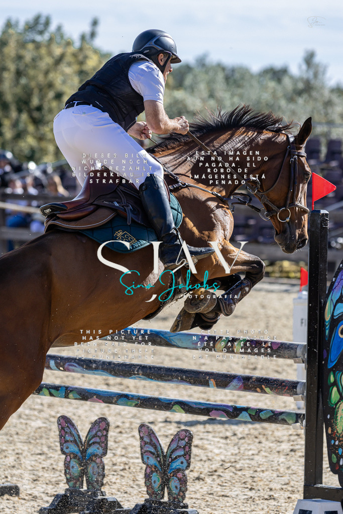 IMG_0750 | s-jay-photography - Realisiert mit Pictrs.com