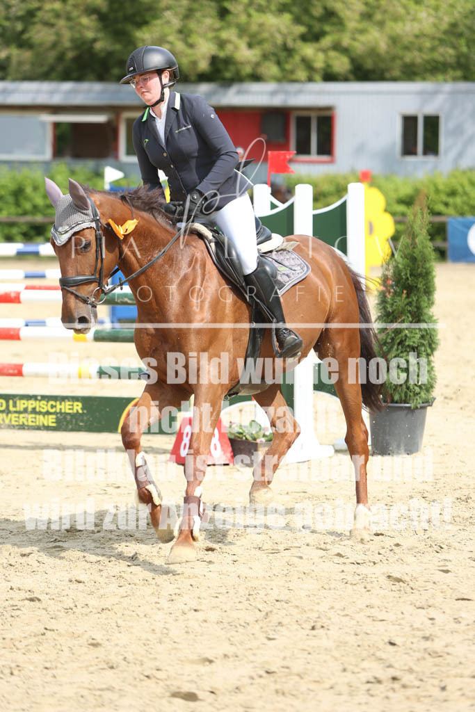 IMGM5987 | pl-fotografie