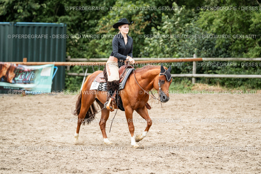 DSC02558 | Pferdegrafie