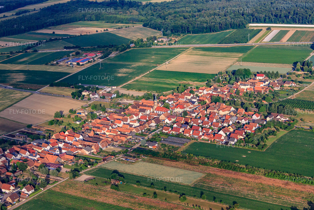 Luftbild: Ortsansicht aus Nordosten in Erlenbach bei Kandel im Bundesland Rheinland-Pfalz in Deutschland. Foto: IMG_67946.jpg vom 14.06.2014 durch Werner Riehm/FLY-FOTO.deAuflösung des Originals: 4752 x 3168 px