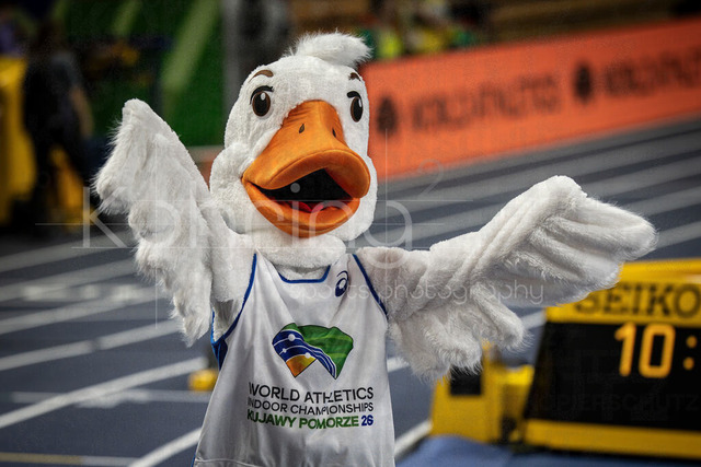 World Athletics Indoor Championships Kujawy Pomorze 26, 20.03.2026 | TORUN, POLAND - MARCH 20:  The Mascot „Goosia“ during the World Athletics Indoor Championships Kujawy Pomorze 26 on day 1 / session 1 at Kujawsko-Pomorska Arena Torun on March 20, 2026 in Torun, Poland. 