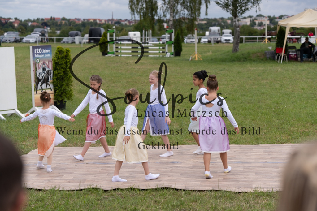 A7V05786 | Pferdefotograf