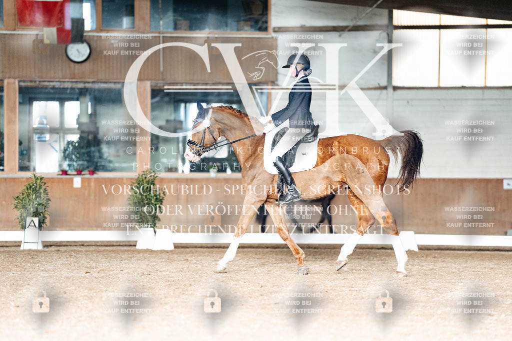 CK903260 | Turnierfotografie Pferdefotografie Trier Rheinland-Pfalz Pferdesport Reitsport Tierfotografie Sportfotografie Pferdevideo Pferdevideografie Equestrianvideography equestrianphotography  - Realisiert mit Pictrs.com