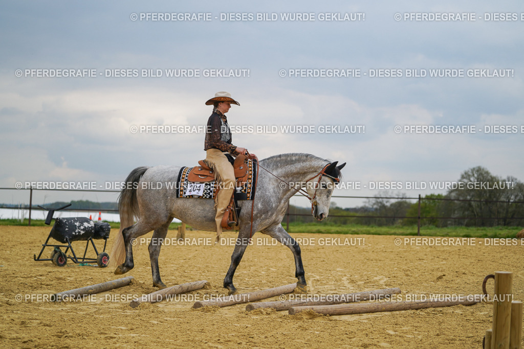 DSC07366 | Pferdegrafie