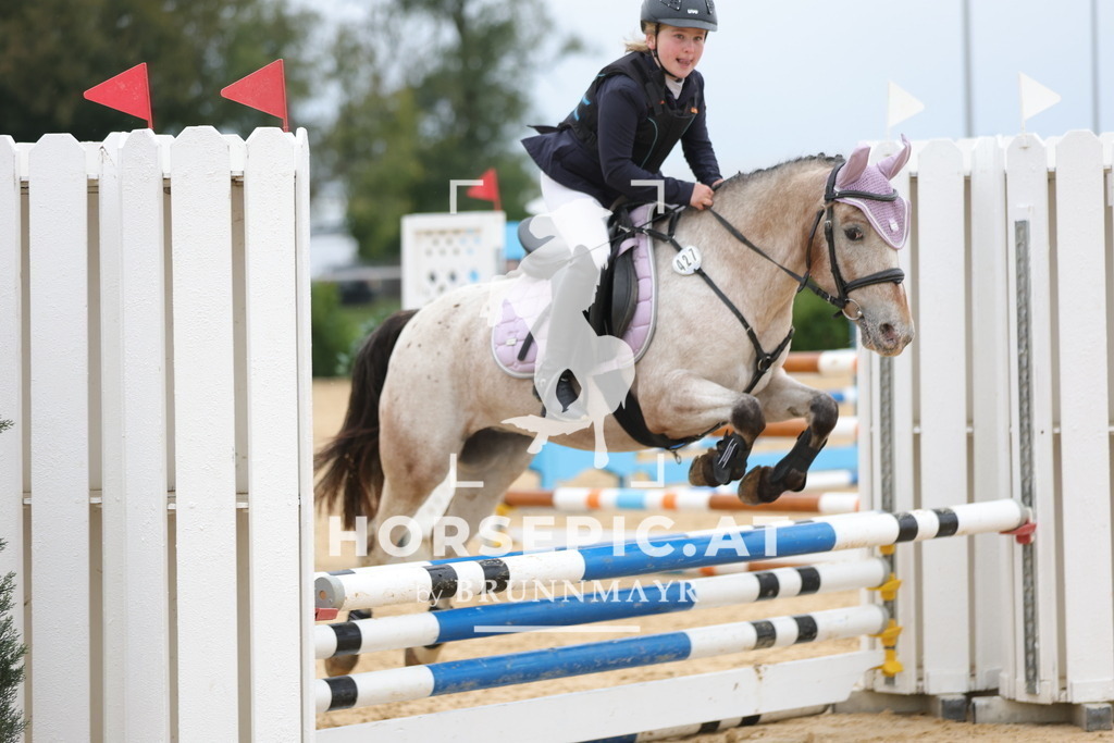 0P6A3254 | Willkommen bei Brunnmayr - Design & Fotografie – Ihrem Spezialisten für Reitturniere und Pferdeveranstaltungen in Oberösterreich, Salzburg und Bayern! Seit über 17 Jahren sind wir leidenschaftlich dabei.