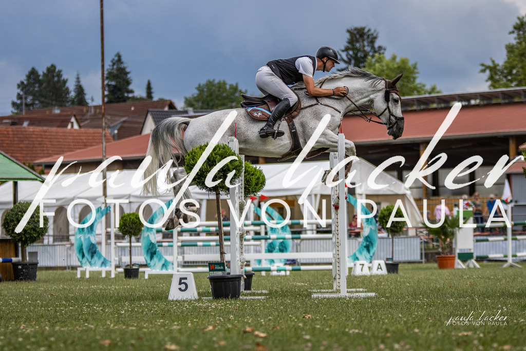 IMG_7193 | Erleben Sie dynamische Sport- und emotionale Tierfotografie in Süddeutschland mit Fotos von Paula. Spezialisiert auf Pferde- und Hundefotografie sowie Sportevents. Kontaktieren Sie mich für einzigartige und ausdrucksstarke Bilder Ihrer besonderen Momente. - Realisiert mit Pictrs.com