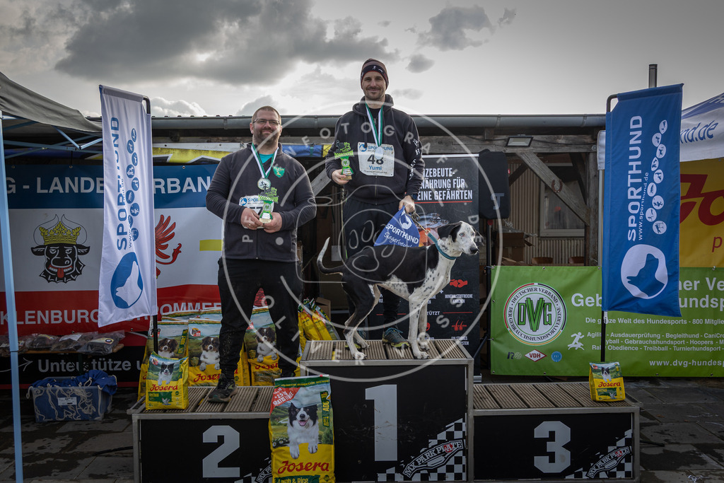 0L8A9231 | Hundefotografie, Tierfotograf, Pfotenfotografie, Fotoshooting Hund, Hunde Portrait, Hundesport, Hundeportraits, Heideshooting, Hunde, Sportfotograf, Hundefotograf, Turnierhundsport, THS,  - Realisiert mit Pictrs.com