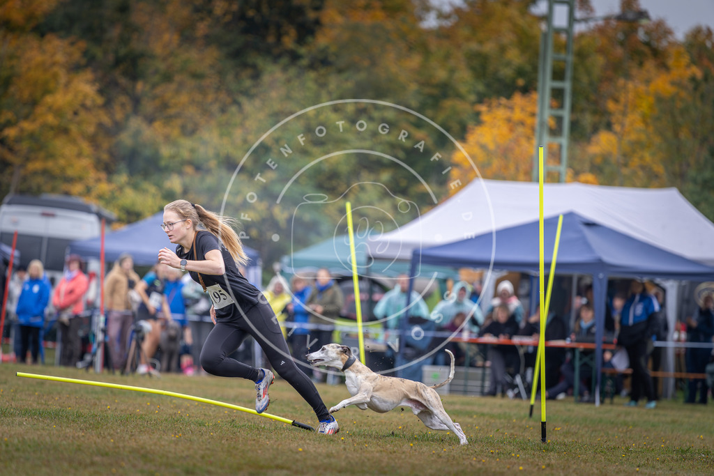 Pfotenfotografie_DV3A1008 | Hundefotografie, Tierfotograf, Pfotenfotografie, Fotoshooting Hund, Hunde Portrait, Hundesport, Hundeportraits, Heideshooting, Hunde, Sportfotograf, Hundefotograf, Turnierhundsport, THS,  - Realisiert mit Pictrs.com