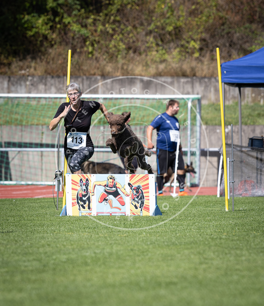 Pfotenfotografie_DV3A8305 | Hundefotografie, Tierfotograf, Pfotenfotografie, Fotoshooting Hund, Hunde Portrait, Hundesport, Hundeportraits, Heideshooting, Hunde, Sportfotograf, Hundefotograf, Turnierhundsport, THS,  - Realisiert mit Pictrs.com