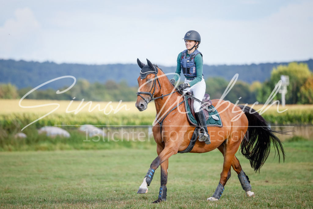 20250905-_3LI2274 | Tierfotografie Pferde, Hunde, Katzen, Haustiere.
Turnierfotografie Reitturniere, Reiten, Springreiten, Dressur in Hanau, dem Main-Kinzig-Kreis und dem Rhein-Main- Gebiet um Frankfurt