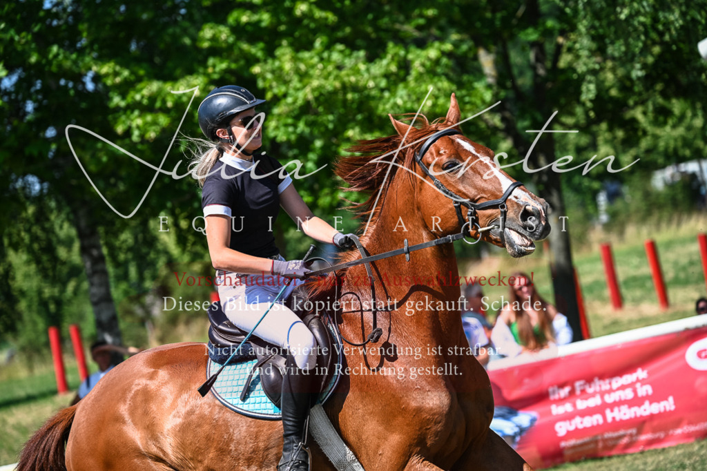DSC_1247 | Pferde- und Turnierfotografie in Westsachsen. Pferdeportraits, Auftragszeichnungen und intuitive Kunst.