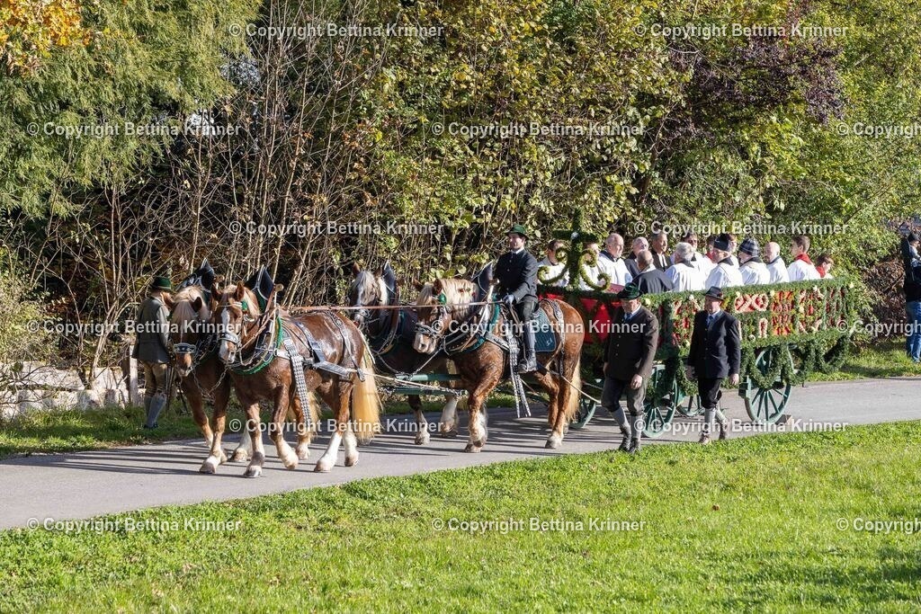 LBT24-10 | foto-bettina-krinner - Realisiert mit Pictrs.com