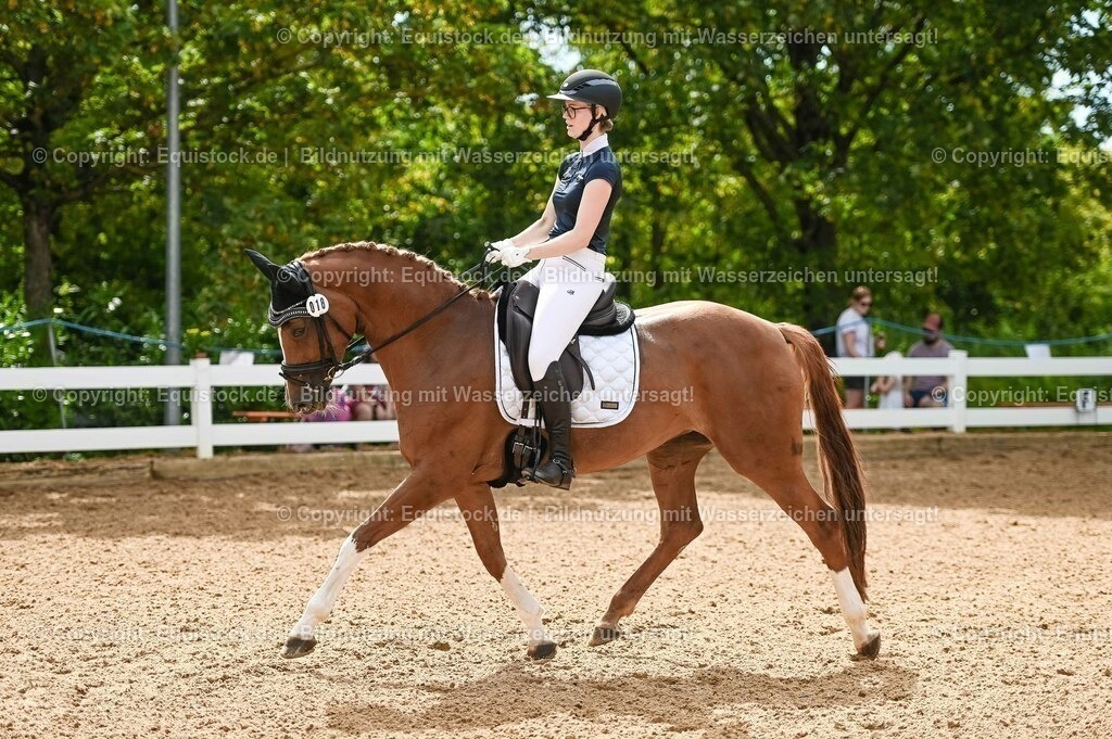 20230715_07_Dressurpferdeprfg. Kl.L_0084 | equistock