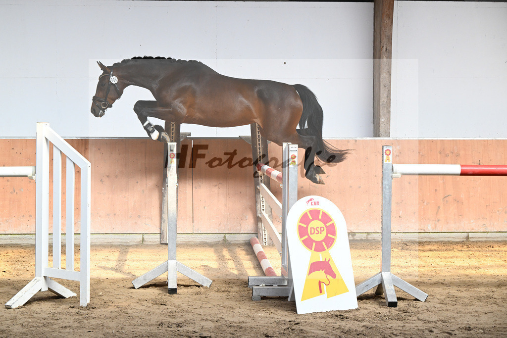Kat-Nr. 8 Bahama Mama_ZG Sautter_36230042 | hf-fotografie - Realisiert mit Pictrs.com