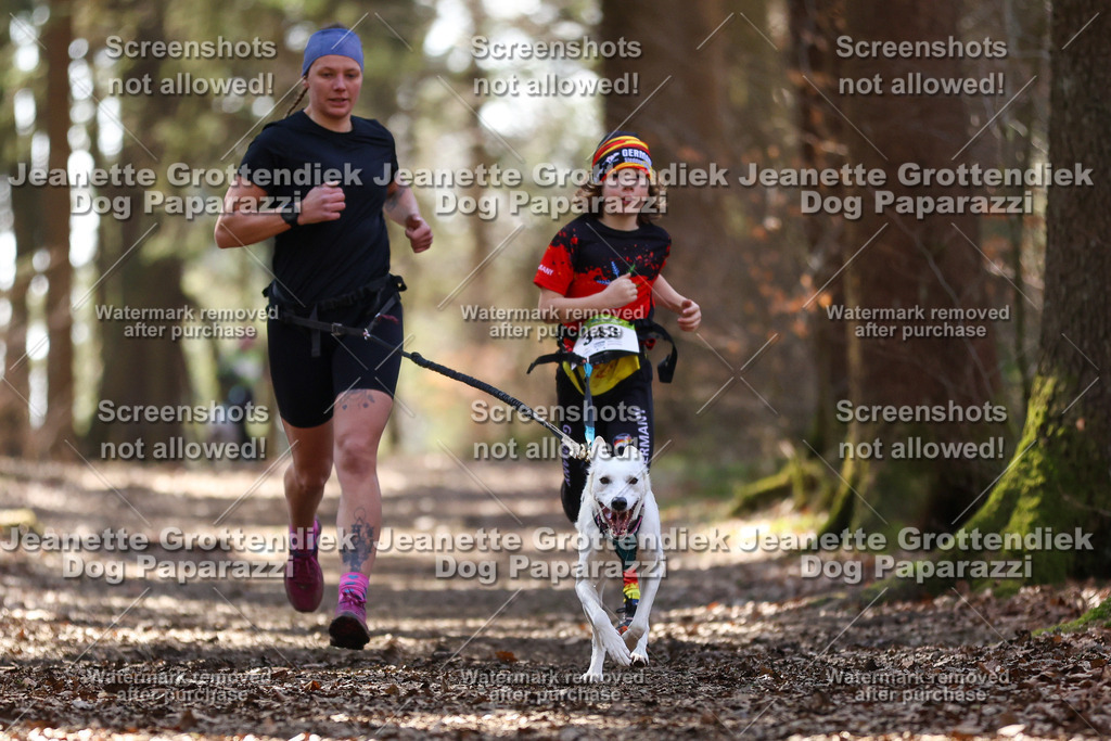 Dog Paparazzi - VCC26-1437 | Dog Paparazzi Jeanette Grottendiek Fotografie & Videografie - Realisiert mit Pictrs.com