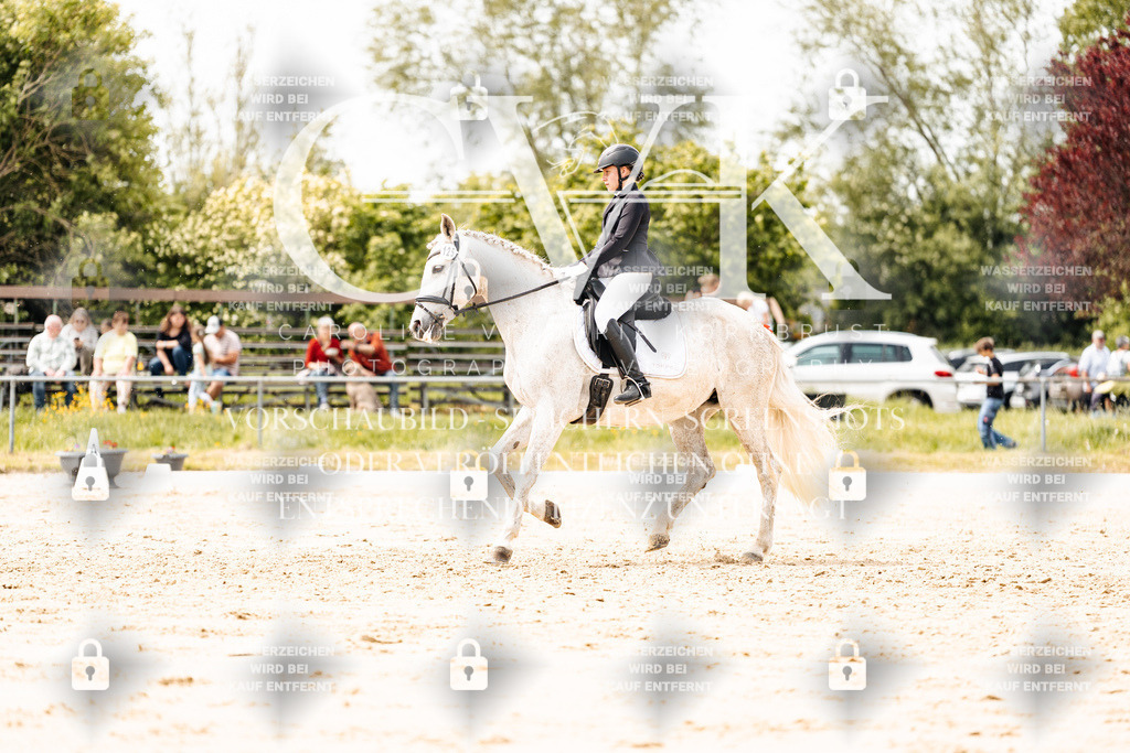 CK902562 | Turnierfotografie Pferdefotografie Trier Rheinland-Pfalz Pferdesport Reitsport Tierfotografie Sportfotografie Pferdevideo Pferdevideografie Equestrianvideography equestrianphotography  - Realisiert mit Pictrs.com