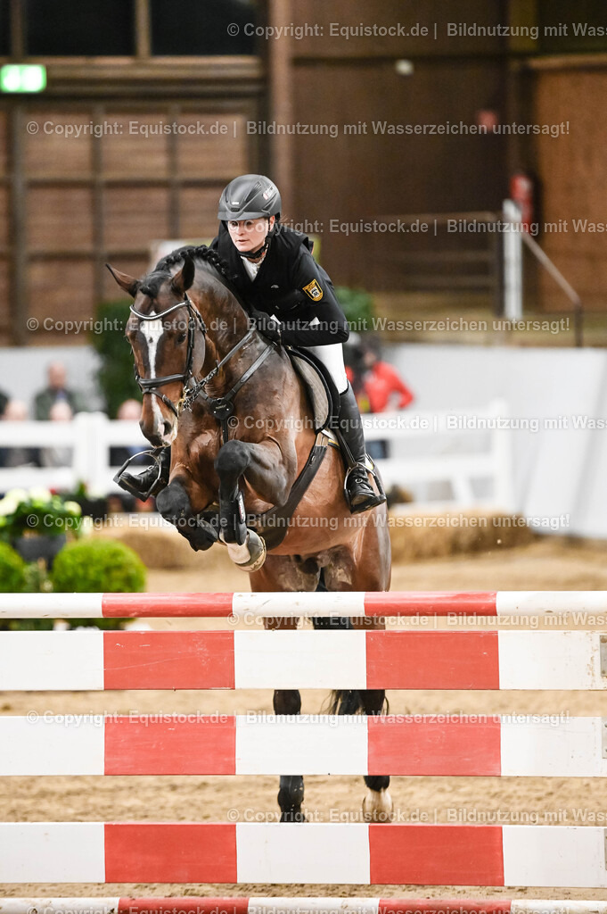 20260307_Hengstvorstellung-Marbach_0141 | equistock
