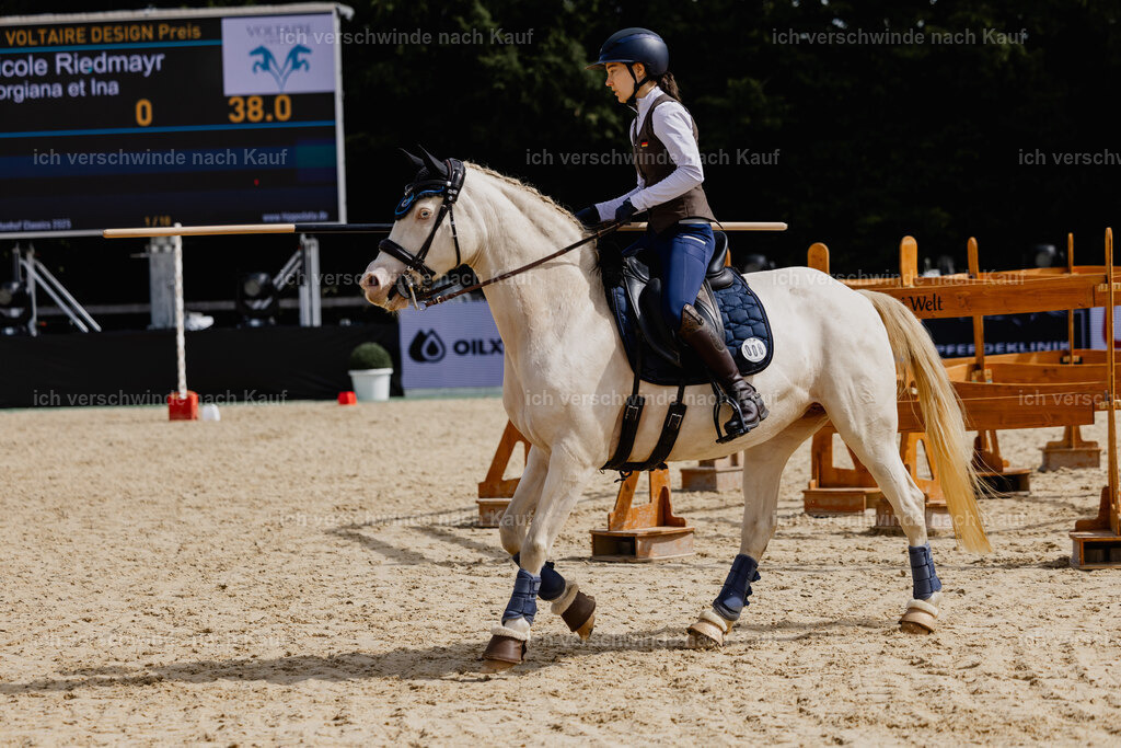 Nici11_FHC2025-29985 | working equitationturnier fotograf videograf stoibphotography marixx film working equitation deutschland reitsport turnierfotografie eventfotografie equestrian events