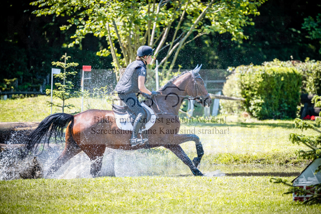 2026-05 - Melle Oldendorf-1-0025 | Entdecke hochwertige Reitturnierfotos von Foto Oger. Professionell, emotional und authentisch – jetzt Lieblingsmomente im Shop bestellen.Deutschlandweite Turnierfotografie. - Realisiert mit Pictrs.com