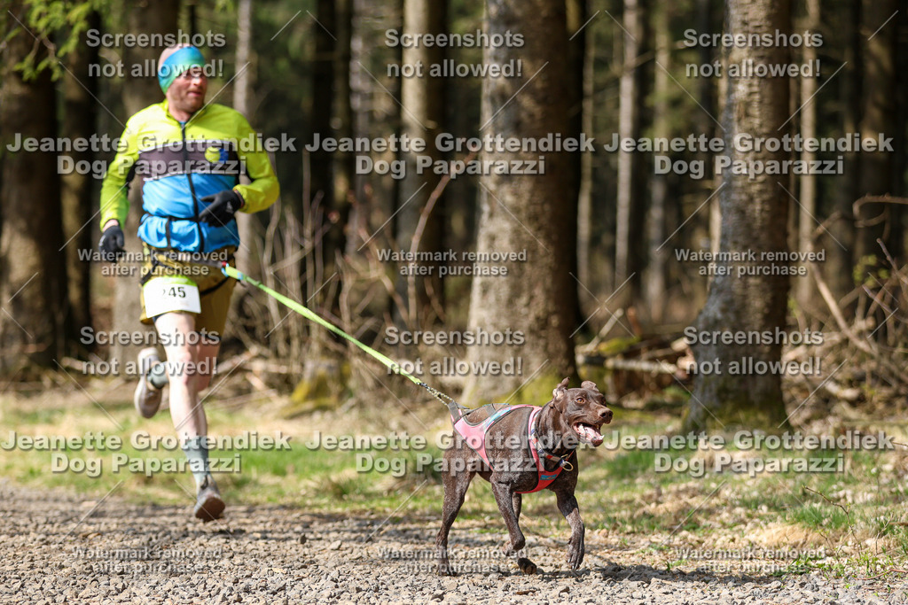 Dog Paparazzi - VCC26-326 | Dog Paparazzi Jeanette Grottendiek Fotografie & Videografie - Realisiert mit Pictrs.com