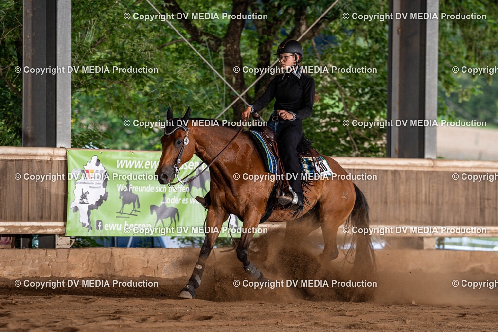 Erbach Tag 1-1184 | dv-media-shop - Realisiert mit Pictrs.com