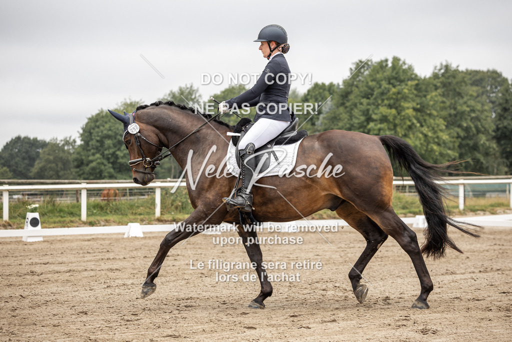 nelerasche_DrL_Ede_145 | nelerasche