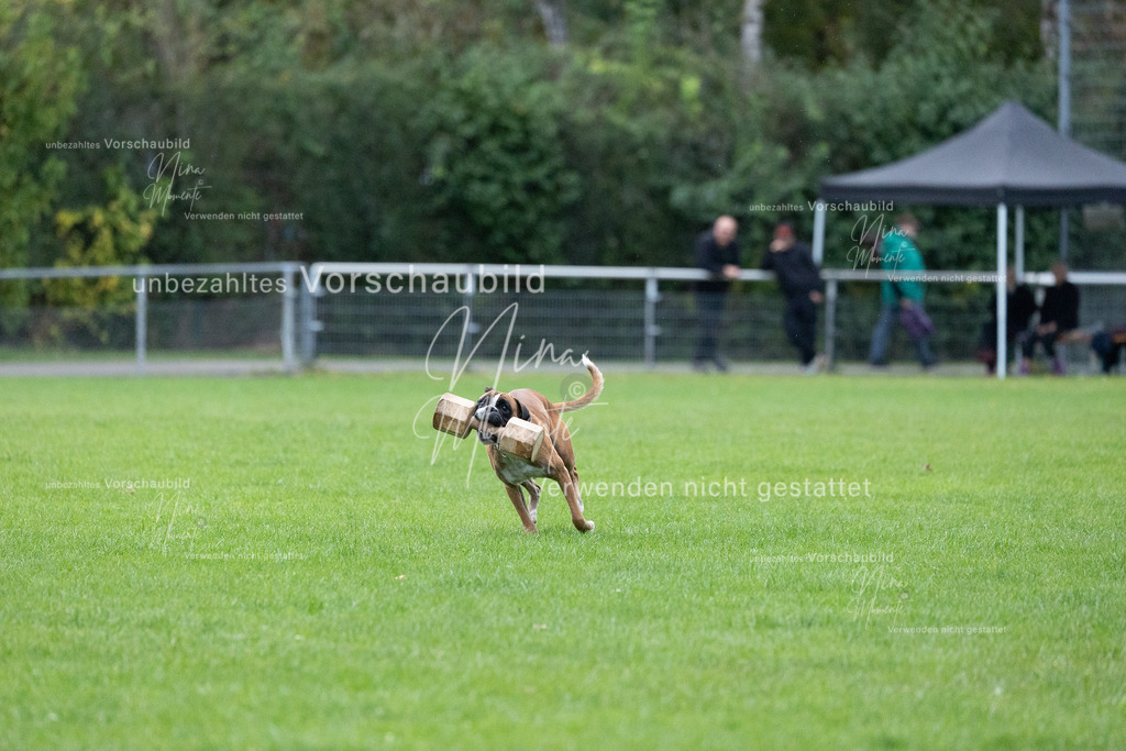 _16A4673 | Einzigartige Fotos von Hunden & Menschen –Actionfotos, Portraits, Vereinsaufnahmen & Paarshootings – authentisch, lebendig & mit Herz.