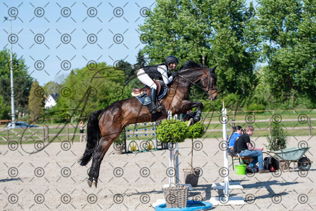 KPT_1702 | andre_photographic