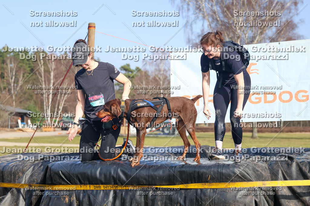 Dog Paparazzi - Strongdog North Mrz26-3433 | Dog Paparazzi Jeanette Grottendiek Fotografie & Videografie - Realisiert mit Pictrs.com