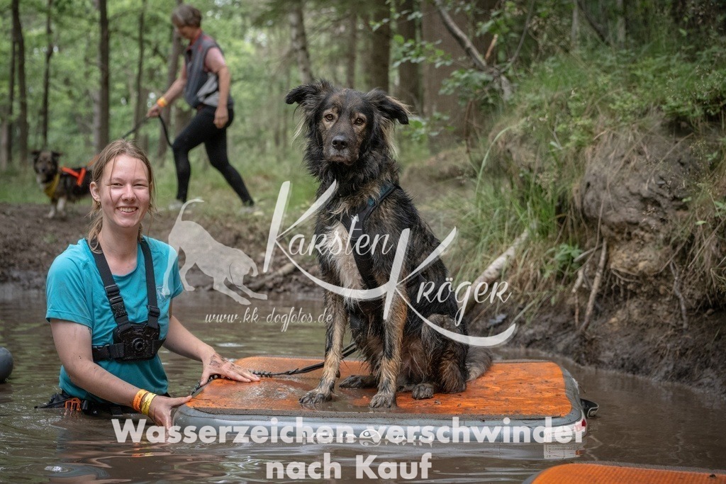 1243_ZZ90536T | kk-dogfotos