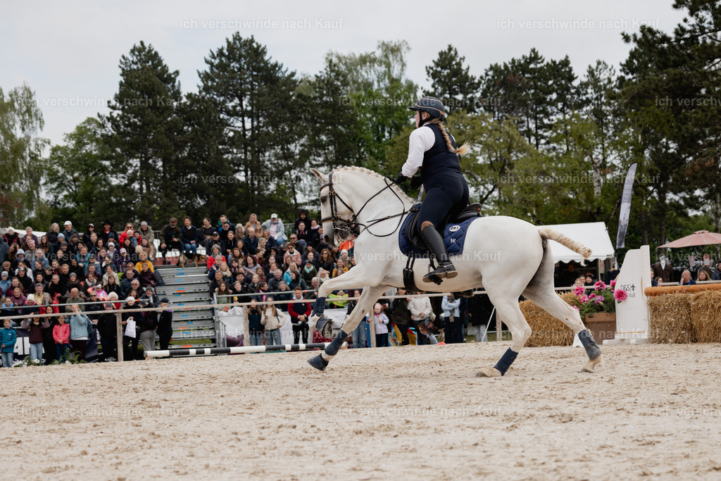 PI26_SP_StoibphotographyC2_C0478.jpg | working equitationturnier fotograf videograf stoibphotography marixx film working equitation deutschland reitsport turnierfotografie eventfotografie equestrian events