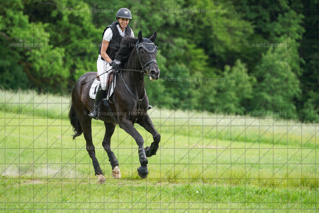 20240518-FAH03637 | Turnierbilder von Niederseon, Turnierfotografen Bayern, Fotoagentur Herrmann, Geländebilder, Reitsportfotografie