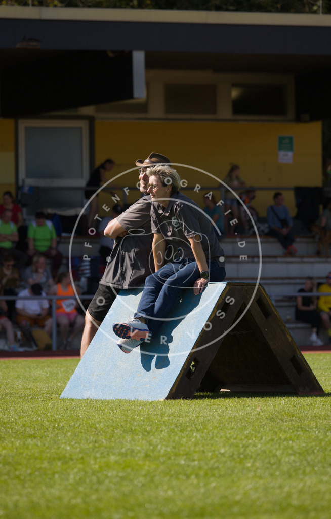 0L8A7241 | Hundefotografie, Tierfotograf, Pfotenfotografie, Fotoshooting Hund, Hunde Portrait, Hundesport, Hundeportraits, Heideshooting, Hunde, Sportfotograf, Hundefotograf, Turnierhundsport, THS,  - Realisiert mit Pictrs.com