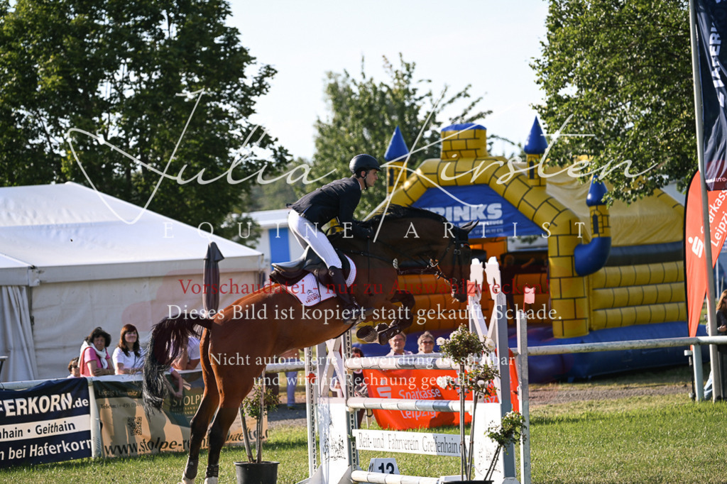 DSC_1707 | Pferde- und Turnierfotografie in Westsachsen. Pferdeportraits, Auftragszeichnungen und intuitive Kunst.