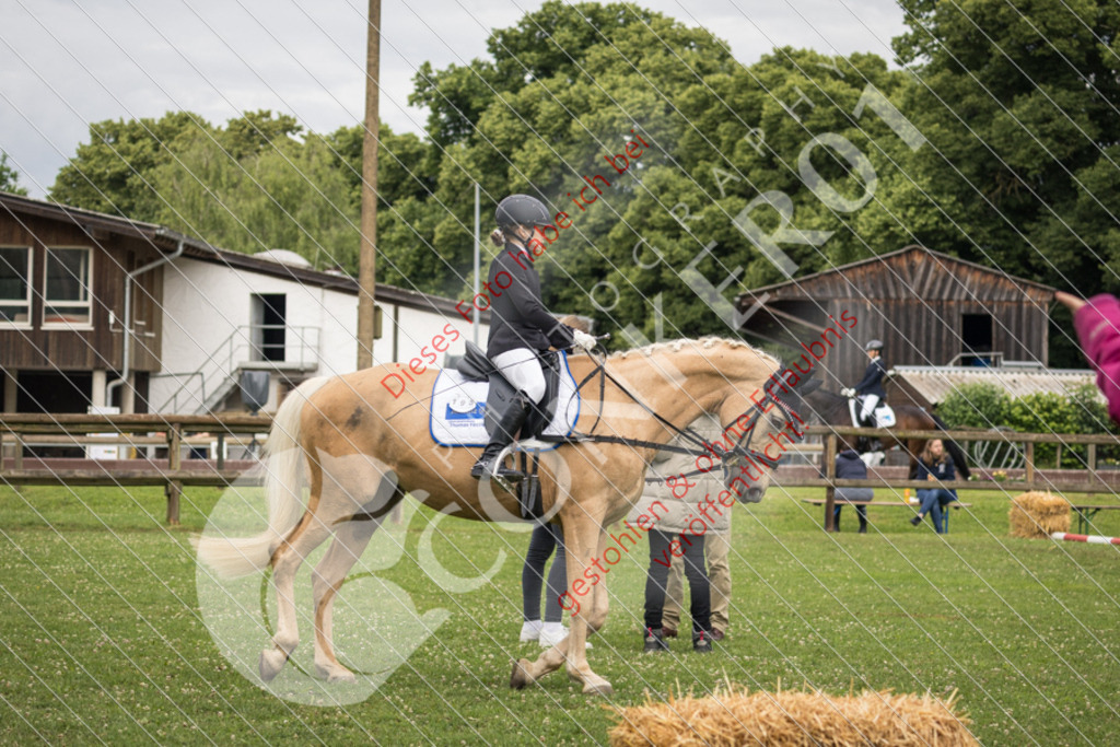 IMG_1656 | Sport-, Event- und Tierfotos in Profiqualität. Einfach auswählen, bestellen und herunterladen. Dein Moment – perfekt festgehalten.